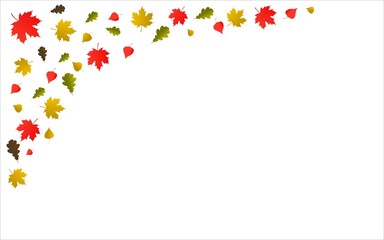 Vector background with maple, oak and birch falling autumn leaves.