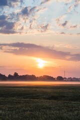 Fototapeta premium Beautiful wild nature meadow with frozen grass and flowers on a winter morning with golden sunrise light