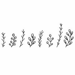 Floral elements in hand drawn doodle style. Plant branches linear illustration