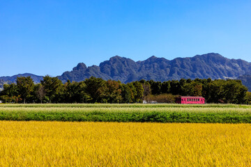 南阿蘇の田園風景