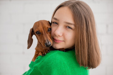 teenage girl in jeans and green sweater holds a small dog dachshund in her arms. favorite pet. girl hugs, kisses, squeezes her beloved dog in her hands. animal care. space for text. High quality photo