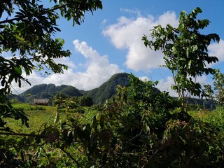 Viñales