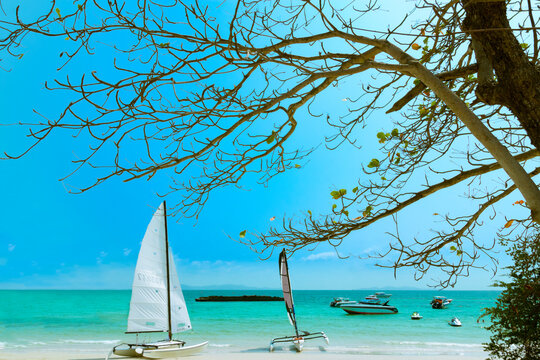 Tropical landscape at Koh Lan is a tropical island in the Thai sea with boats and beautiful tropical beaches.