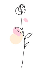 One line drawing. Beautiful garden rose with leaves. Hand drawn sketch. Vector illustration.