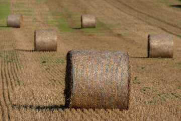 Strohballen auf dem Feld