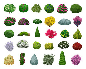 Vector collection of colored detailed bushes. Landscape elements isolated on white background. - obrazy, fototapety, plakaty