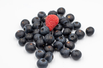 Blueberries isolated on white background