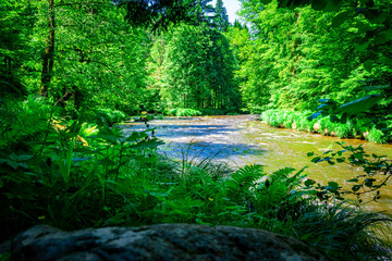 Obraz premium Hiking along Ilz Valley between Schneidermühle und Schrottenbaummühle