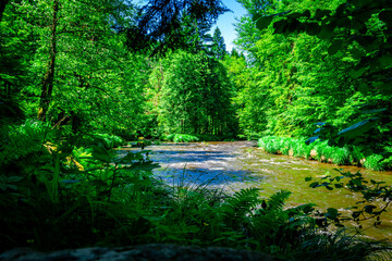 Hiking along Ilz Valley between Schneidermühle und Schrottenbaummühle