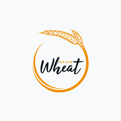 Agriculture wheat grain vector icon design