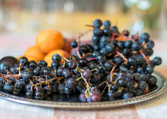 fruit fragments on a metal tray, grapes, plums, peaches, apricots, autumn harvest time, healthy diet and vitamins, autumn