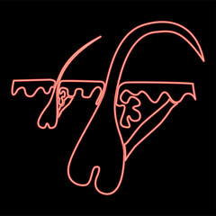 Neon skin with hair in macro red color vector illustration flat style image