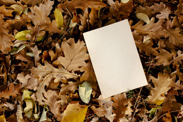 card mockup with fall dry leaves