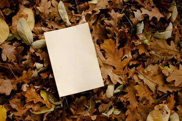 greeting card mockup in colorful autumn leaves