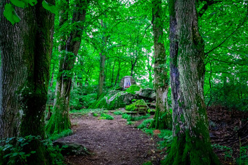 Hiking Wiesenfelden and around the Büscherl in the Bavarian Forest