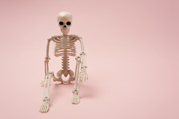 funny pose of a human skeleton on the colored background