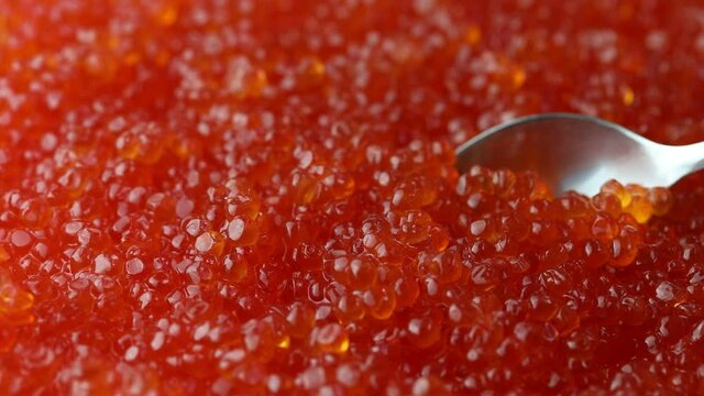 A metal spoon picks up the mouthwatering red caviar. Red caviar shining in the light. Red caviar of sea fish. Gifts of sea. Macro, top side view flat lay, selective focus
