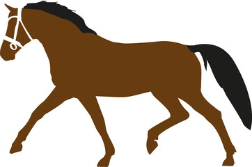 Silhouette eines braunen Pferdes