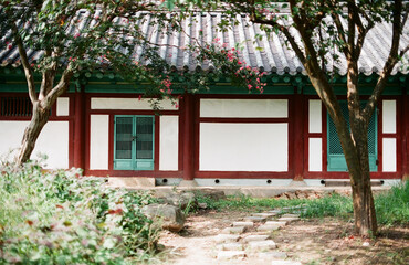 Korean traditional house and flower tree