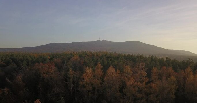 Sleza Mountain - Poland - Autumn colored forest