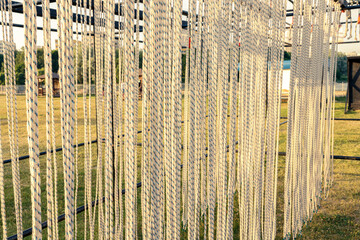 Obstacle course race ocr, hanging ropes in a row, sunset