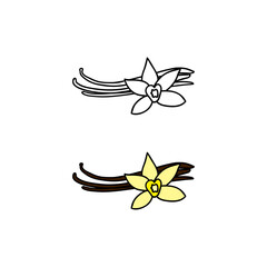 Obraz premium Hand drawn colored and outline vanilla.