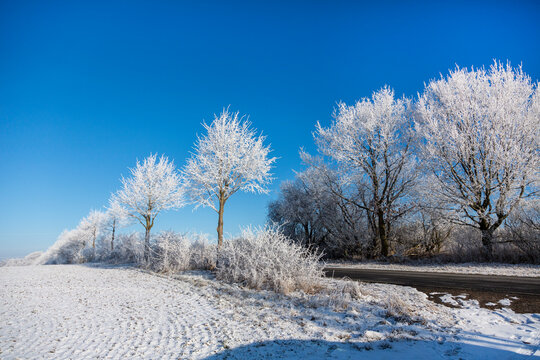 Winter Idyll In The North Of Germany