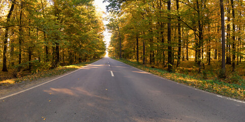 Asphalt road in a colorful autumn forest. Photo of the bend in the road through the Park.