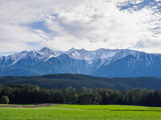 Forest with mountains in the background