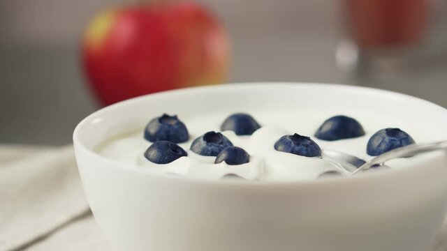 Bowl of delicious greek yogurt with blueberries.