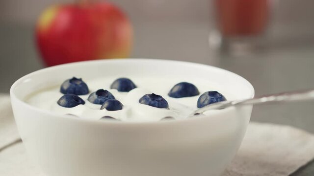 Bowl of delicious greek yogurt with blueberries.