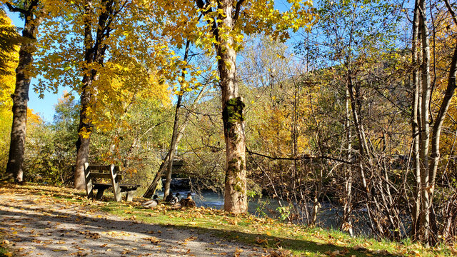 Herbst an der Enns mit Wildenten