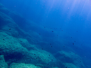 Fondale marino Capo Milazzo 1247