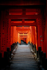 Vertical shot of the Fushimi Inari Taisha hallway in Kyoto, Japan - obrazy, fototapety, plakaty