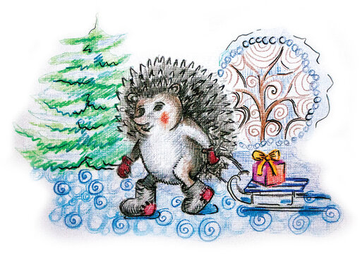 Winter illustration. A hedgehog in felt boots walks through the forest and carries gifts on a sled. The picture is drawn manually. The image is isolated on a white background