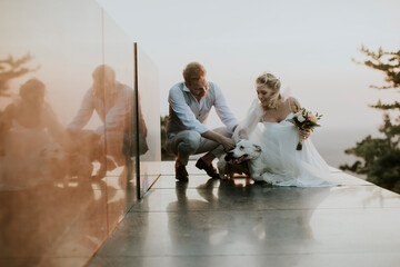 Young newlywed couple with their Jack Russel Terrier dog