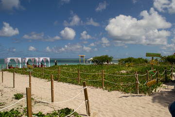 Fototapeta na wymiar Beaches of Brazil - Maragogi Beach - Alagoas state