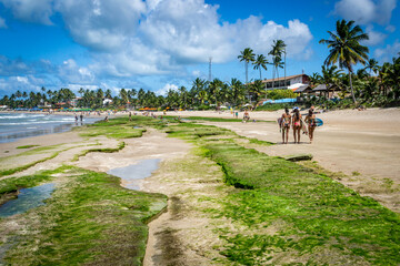 Beaches of Brazil - Porto de Galinhas Beach - Pernambuco state