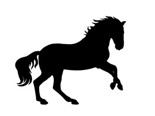 Fototapeta na wymiar isolated black silhouette of a galloping horse on a white background