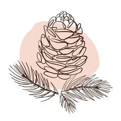 Vector drawing of cedar cones