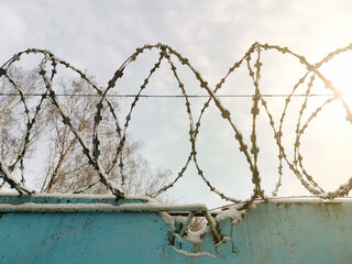 Close up of barbed wire on a fence against a clear winter sky