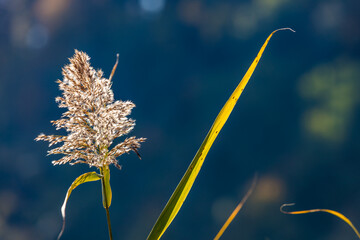 Herbstfarben