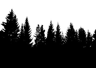 Obraz premium Silhouette of fir trees. Black and white vector illustration