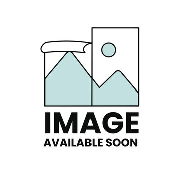 Image available soon sign. Internet web illustration to indicate the absence of image until it will be downloaded.