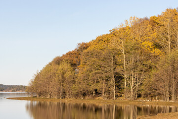 Autumn coastal landscape with yellow tree foliage reflecting in calm water. Shot in Sweden, Scandinavia