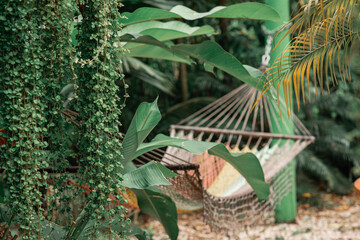 hamaca en el exterior con plantas verdes