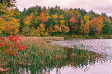 autumn landscape with lake