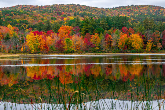 autumn landscape with lake and trees