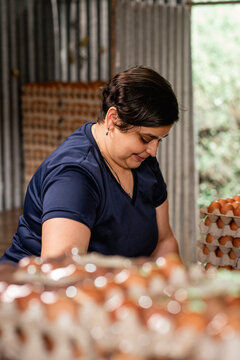 mujer latina con sobrepeso empacando huevos en la granja 