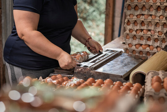 Mujer empacando cartones de huevos para la venta